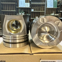 Piston DL08 D1146 D1146T 65.02501-0505 65.02501-0506 65.02501-0501 pour Develon, pièce de rechange pour moteur Doosan, pièces détachées pour excavatrice