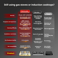 Cuisinière électrique portable à double brûleur, sans gaz, pour cuisine domestique, à flamme nue, OEM/ODM, nouvelle énergie