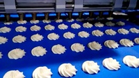 Machine à enrober les biscuits automatique Skywin 250 kg/h, machine à fabriquer des biscuits blancs