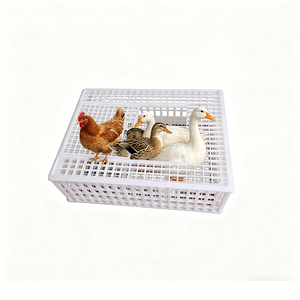 Jaula de Transporte de Aves de Corral de Plástico Resistente con Fondo de Rejilla Fina Antiarañazos para Cría de Pollos, Patos, Gansos, Conejos, Palomas y Pavos - Product Image 1