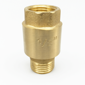 Vanne de retenue verticale en laiton 1/2 pouce standard pour pompe et compteur - Product Image 1