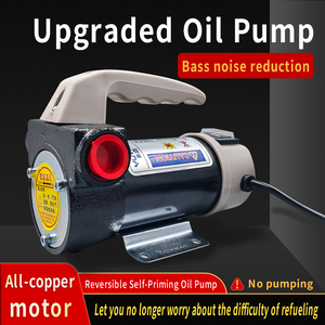 Positieve en negatieve rotatie 12V/24V 220V elektrische brandstofpomp oliezuigpomp geschikt voor diesel en kerosine - Product Image 2