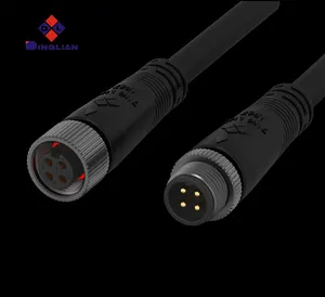 250V M12 4Pin Heat Resistant Customizable Size Gold Plating Process Automated Outdoor Lighting Waterproof AC DC Line Connector