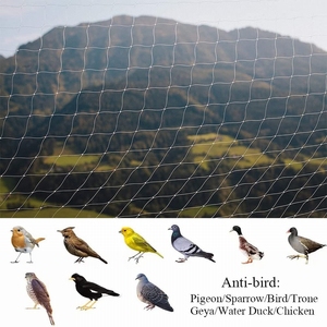 Nhà Máy Mèo An Toàn <span class=keywords><strong>Net</strong></span> Mèo Bảo Vệ <span class=keywords><strong>Net</strong></span> Ban Công Trong Suốt Mạng Lưới An Toàn Cho Mèo - Product Image 3