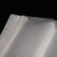 Productos de Archivo OEM, Carpeta de Bolsillo Perforada, Tamaño A4, Carpeta de 30 Anillos, Protector de Hojas Transparente, Carpeta de PP