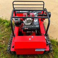 Tondeuse à gazon robotisée télécommandée, moteur diesel EURO 5 CE EPA 800MM, chenilles en caoutchouc tout-terrain, pour l'agriculture