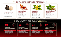 Patch Herbal Maca Ginseng Rouge Formule Végétale Marque Privée OEM ODM Fabricant de Patchs de Soin Corporel