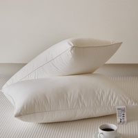 Oreillers de luxe en duvet de plumes d'oie naturelles, emballés sous vide, pour la maison (tailles King/Queen) – Collection Hôtelière – Vente en gros