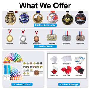 Médaille de récompense personnalisée de Jiu-Jitsu brésilien, en relief 3D, en métal finition argent, pour <span class=keywords><strong>arts</strong></span> martiaux, avec ruban, OEM ODM - Product Image 3