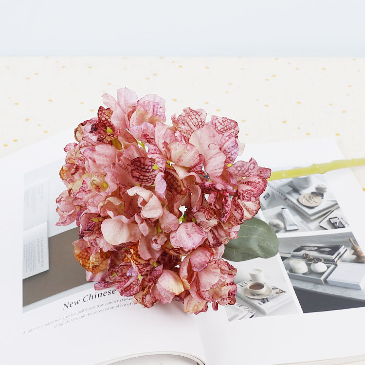 สีม่วงอ่อน