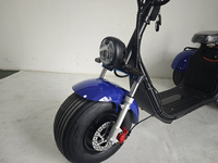 Scooter électrique à trois roues Citycoco 2000W/3000W avec GPS intelligent, design pliable, pneus larges, E-Bike Chopper