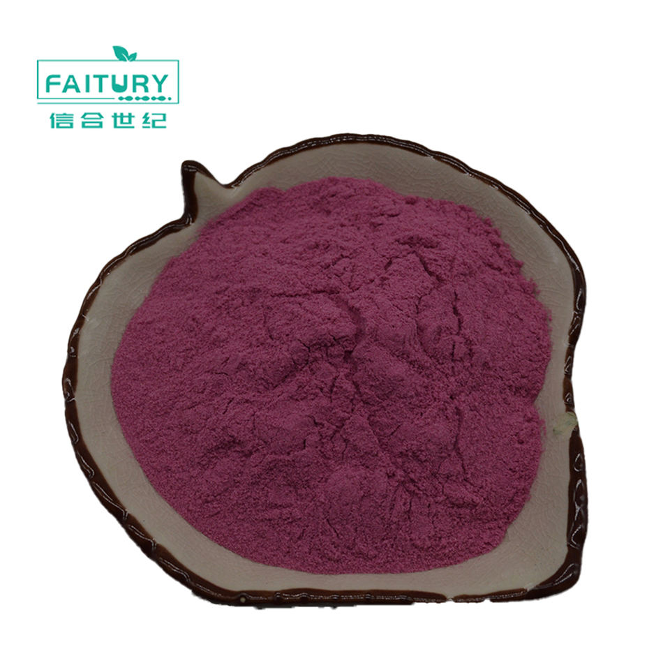 Faitury Wholesale Organic Fruit Powder Freeze Dried Acai Berry Powder ...