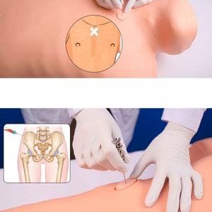 Paracentese Training Manikin Beenmergaspiratie Trainingsmodel Voor Hematologie En Medische Klinische Vaardigheidspraktijk - Product Image 5
