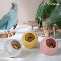 Mangeoire à oiseaux en céramique de qualité supérieure, anti-morsure, petit dispositif d'alimentation, bac à nourriture anti-éclaboussures pour perroquet, myna, oiseau tigré