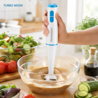 Mixeur Plongeant Professionnel de Haute Qualité pour Usine, Vente en Gros, Durable, Efficace, Haute Vitesse, pour Voiture, Restaurant, Cuisine Domestique