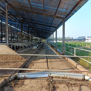 Hệ thống máy làm sạch phân bò tự động cho trang trại bò - Product Image 1