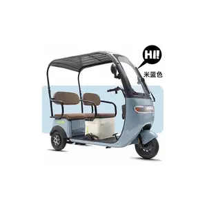 Hot Sale Adult Electric Leisure Tricycle Passenger Tricycle Adult With Roof