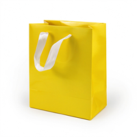 Sac de rangement extérieur en papier couché souple avec design imprimé UV personnalisable pour emballage et utilisation en extérieur