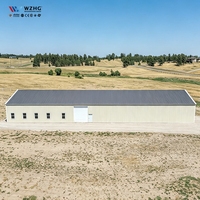 Entrepôt préfabriqué en acier à bas prix, structure métallique durable, hangar d'atelier de stockage robuste