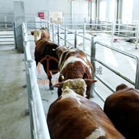 Série de couteaux d'abattage de bovins en gros pour usine : outils de dépecage, d'osage et de hachage compatibles avec la ligne d'abattage de bétail entièrement automatique