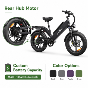 Bicicleta Eléctrica de Carga Personalizable con Motor de 250-1000W, 27.5 Pulgadas, 240km de Autonomía, para Repartidores de Comida, Precio de Fábrica al por Mayor - Product Image 1
