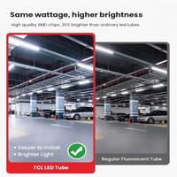 Tube lumineux en verre LED TCL 2 pieds T8 SMD2835 30W 120lm/W 6500K Ra80 Économe en énergie pour usage commercial intérieur
