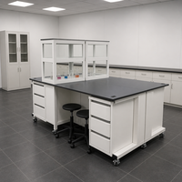 Banc d'islande de laboratoire en acier robuste avec plan de travail en résine époxy et rangement modulaire pour la recherche universitaire