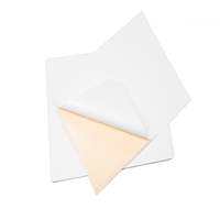 Autocollants en papier adhésif imprimable A4, inscriptibles, simple face, pour masquage, utilisation en écoles ou bureaux