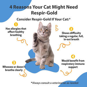 Hot Selling Huisdier Ademhaling Druppels Huisdier Ademhaling Druppels Gezonde Luchtwegen Fabrikanten Ondersteunen Oem M - Product Image 2