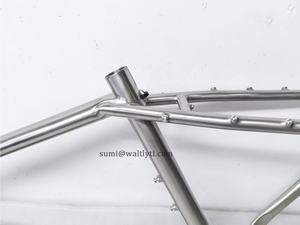 Cuadro de bicicleta <span class=keywords><strong>MTB</strong></span> de titanio de 29 pulgadas para caja de cambios Pinion P1.18 - Product Image 4