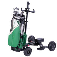 ESWING Trottinette de golf 48V 20Ah avec batterie au lithium, pliable rapidement, véhicule de transport pour le golf, fabricant et fournisseur