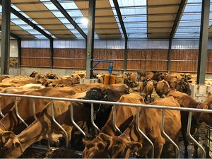 Almacén Prefabricado de Estructura de Acero Moderno y Económico <span class=keywords><strong>2022</strong></span> - Product Image 2