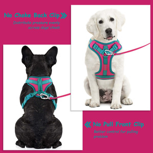 Fournitures pour animaux de compagnie élégantes sans tirer harnais pour chien en néoprène doux, Clip avant personnalisé, gilet réglable de styliste pour chien de compagnie, harnais collier laisse - Product Image 3