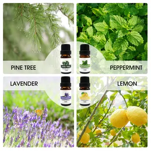 Aromatherapy Natural 8 Pack Essential Oil Gift Set--new Design Hot Sell In AMAZON Pure Oil
