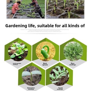 Barquettes de semis en gros, barquettes épaisses pour la plantation de succulentes, barquettes de culture de légumes et de fruits, barquettes horticoles pour boutures d'arbres - Product Image 3
