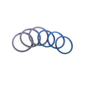 Fornitura stabile di merci adatte a una varietà di sigillatura forme di tenuta statica O-ring di tenuta dinamica