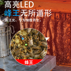 Linterna frontal LED recargable de 2000 mAh, ajustable, impermeable, súper brillante, para pesca y uso en exteriores. - Product Image 1