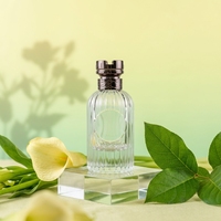 Flacon de parfum en verre transparent de luxe, nouveau design, 100 ml, avec vaporisateur anti-fuite et boîte d'emballage personnalisée