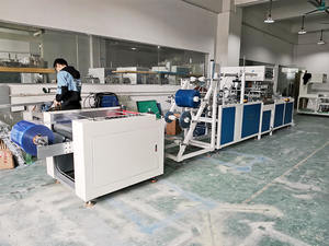 เครื่องผลิตถุงพลาสติกอัตโนมัติเต็มรูปแบบ HF สำหรับถุงพีวีซี/อีวีเอ เครื่องซีลถุงเก็บเลือดหรือถุงเก็บปัสสาวะ - Product Image 3