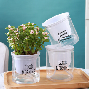 Vaso per Piante Automatico con Assorbimento d'Acqua per Piante Grasse e Rane, Senza Bisogno di Annaffiatura, Fioriera Trasparente a Doppio Strato - Product Image 1
