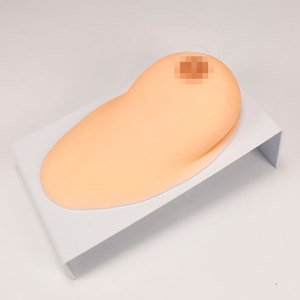 Science médicale Silicone Massage du sein et modèle d'allaitement pour la période d'allaitement - Product Image 3