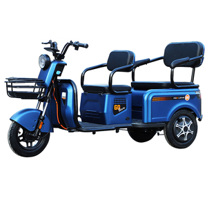 Tricycle électrique Paige de Chine, Volta <span class=keywords><strong>Cargo</strong></span> pour adulte, scooter portable, trike motorisé, roadster marocain, 3 roues - Product Image 2