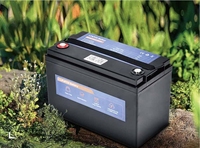 Batería de Iones de Litio Prismática LiFePO4 de 12V 300Ah, Mini Paquete de Baterías de 300 Amperios para Uso Solar, Modelo LICITTI Li-1200, 24 Meses de Garantía