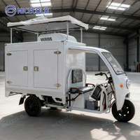 Tricycle électrique réfrigéré de haute qualité avec panneau solaire pour la chaîne du froid et le transport de marchandises congelées