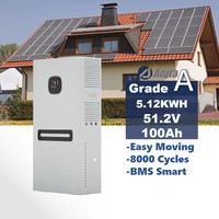 Batterie tout-en-un IP65 5,12 kWh 51,2 V 100-314 Ah LiFePO4 pour appareils électroménagers, stockage empilable, 6000 cycles, BMS intelligent, 5-10 kW, garantie 10 ans