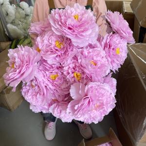 5 Plantas Artificiales de Peonía en Maceta, Flor Artificial, Decoración de Hierba Verde, Realista, para Hogar, Boda, Oficina, Mesa, Jardín - Product Image 1