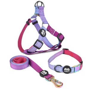 2025 INS populaire produits pour animaux de compagnie formation collares laisse copain ceinture chien harnais collier ensemble, nylon sangle chien harnais 3 pièces ensemble - Product Image 1