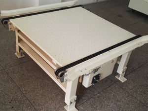 China Skid / Pallet Kettingbaan Met Transportband Systeem - Product Image 2