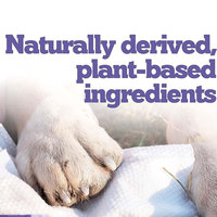 Lingettes pour animaux de compagnie à la lavande pour chiens et chats Lingettes désodorisantes XL et épaisses pour le nettoyage des pattes et des fesses