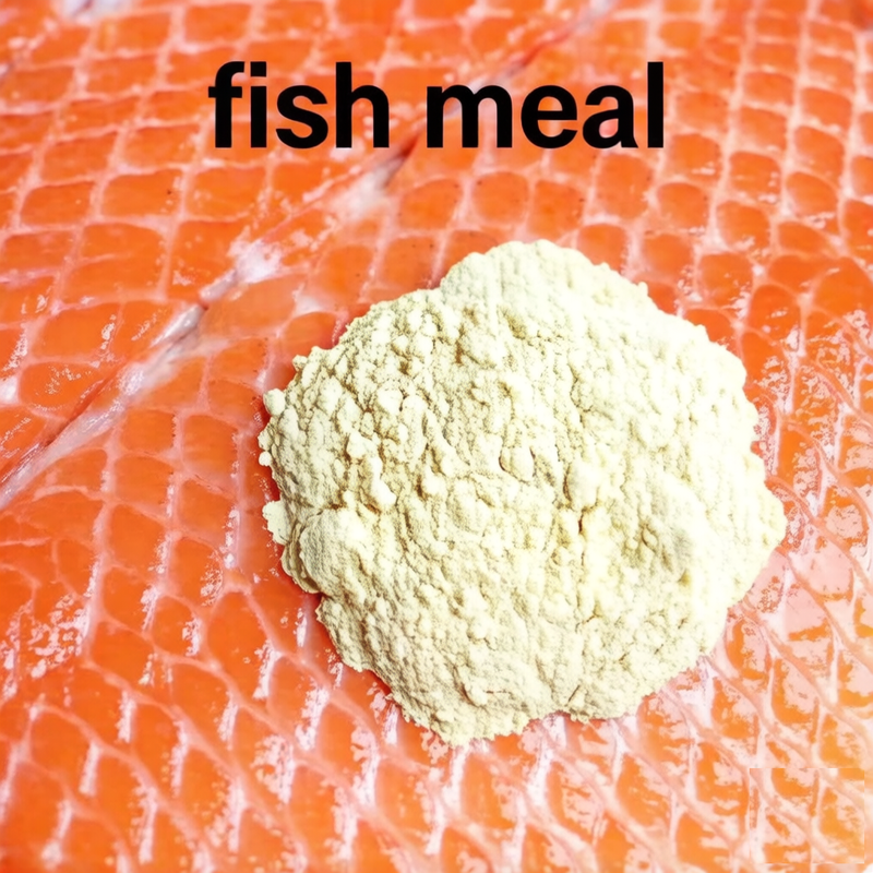 90 Crude Protein Fish Meal Livestock